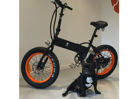 LE-JUNIOR
