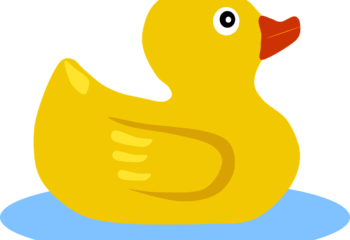 duck-312100_1280